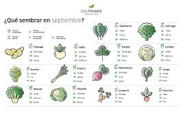 ejemplo 6